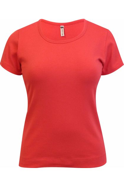 image-621367fe5b294888a4a5cc7a2aa35ab5 image-621367fe5b294888a4a5cc7a2aa35ab5