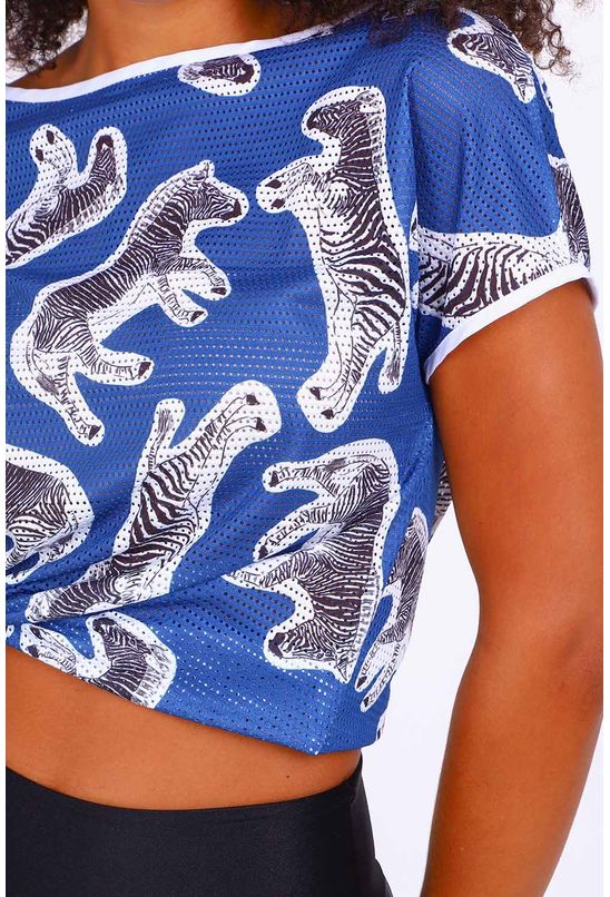 2838050004477--6- 2838050004477--6-