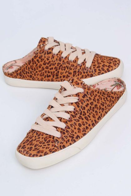 7908417242873--2- 7908417242873--2-