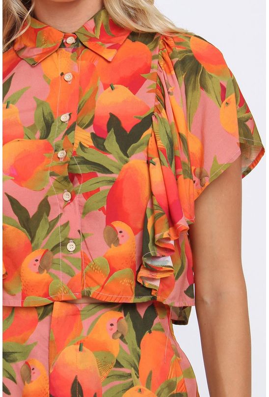 30041817241--2- 30041817241--2-