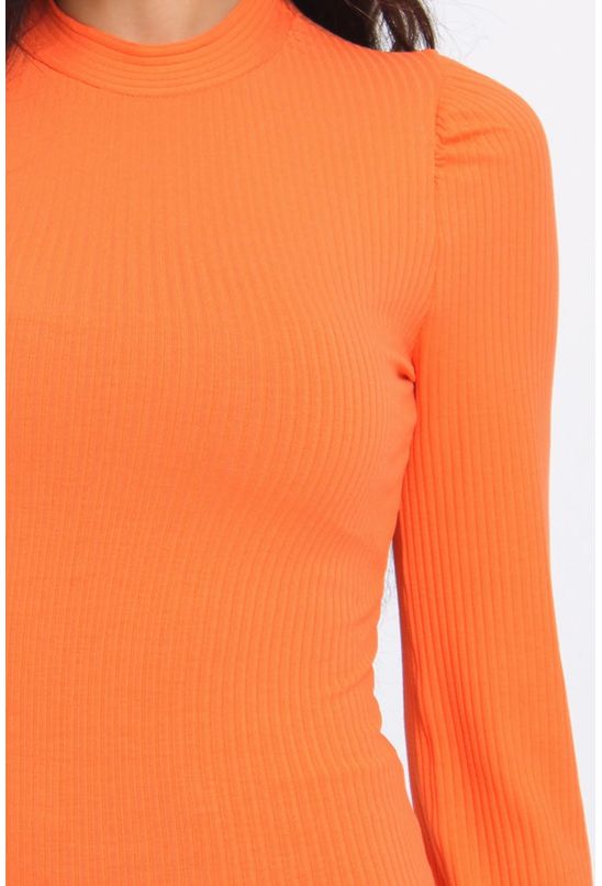 1000140270103--2- 1000140270103--2-