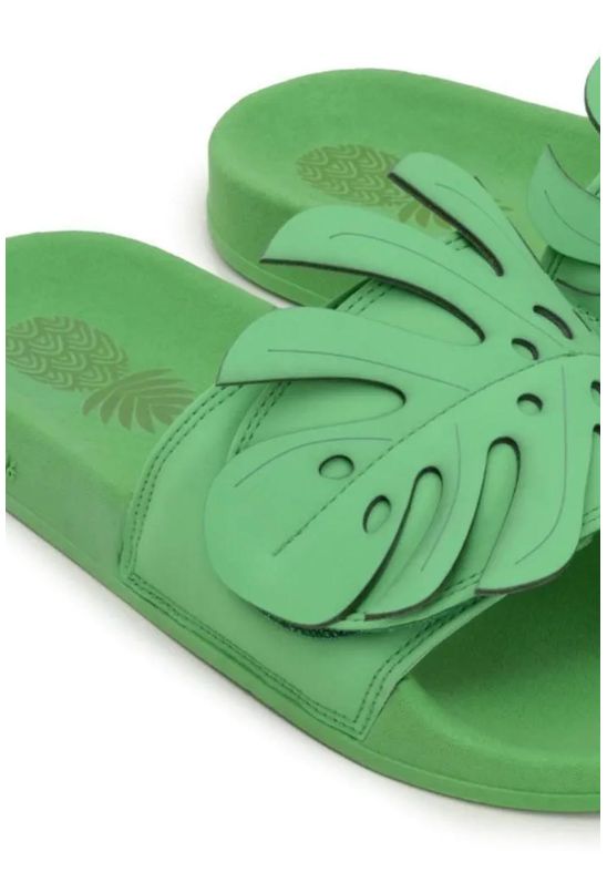 2023002001966--1- 2023002001966--1-