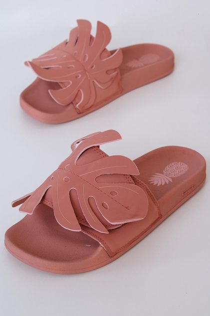 Praiana-costela-de-adao-farm--principal Praiana-costela-de-adao-farm--principal