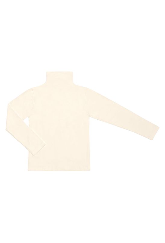 Image4