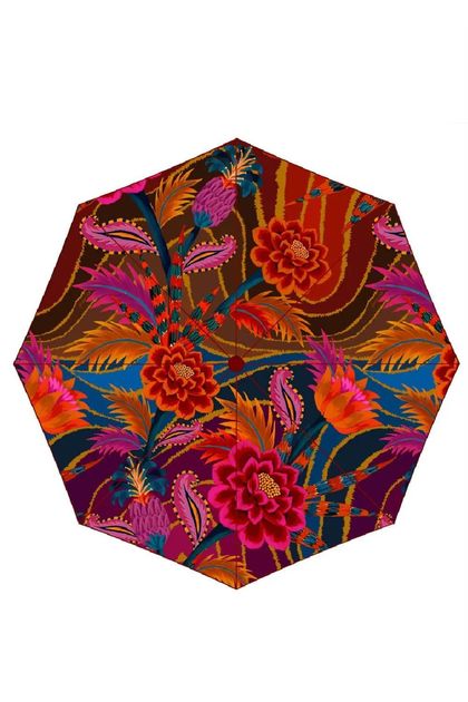 WhatsApp-Image-2023-07-27-at-11.06.07 WhatsApp-Image-2023-07-27-at-11.06.07