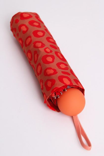 2024005003223-p1 2024005003223-p1