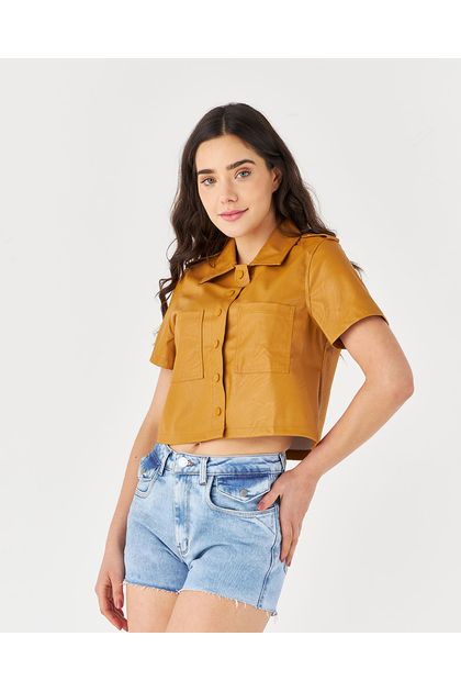 principal1 principal1