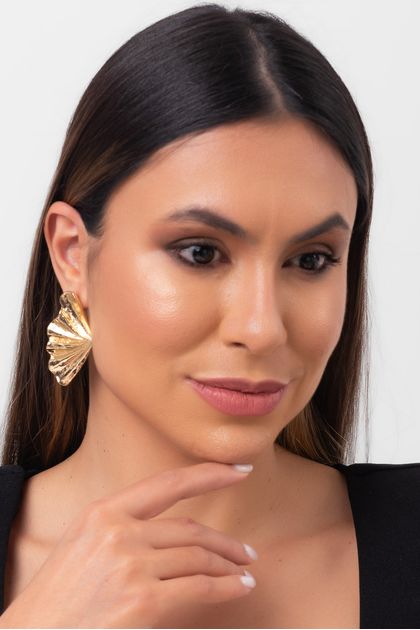 Brinco36-p1 Brinco36-p1