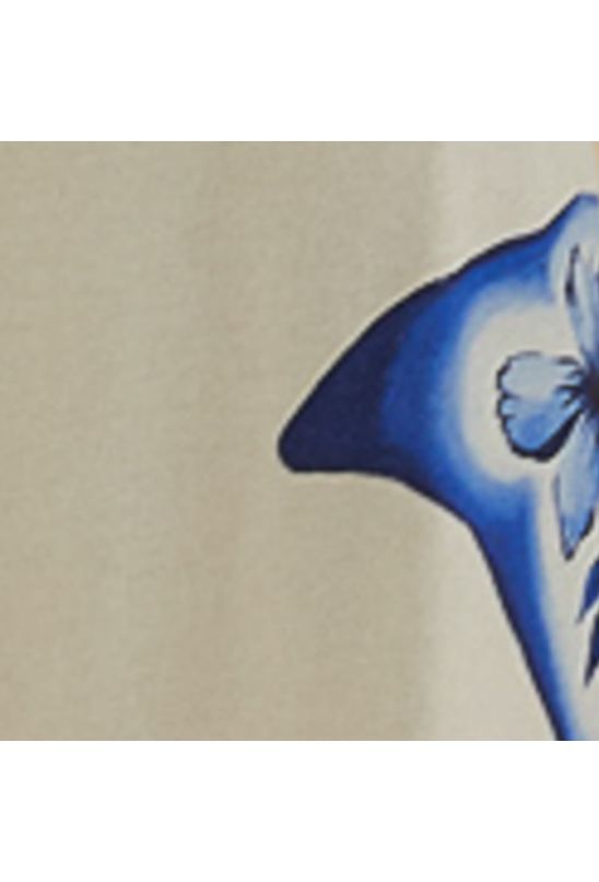 image-9cae8e462cbe4f04b22a7440ebfd9816