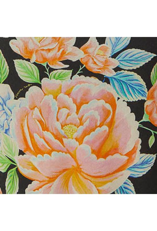 image-5b13bb426fa2431faef56a014c4b3ab4