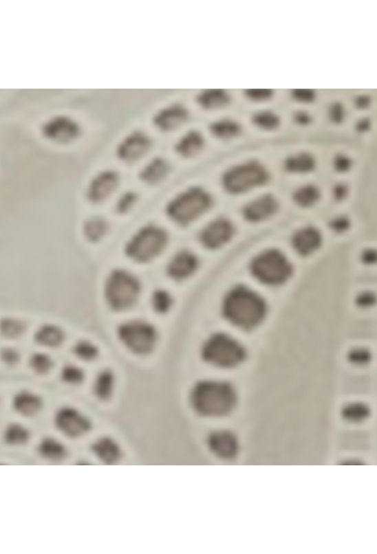 image-7a58f70a9f8e44d1910ba9242f8d4b6d