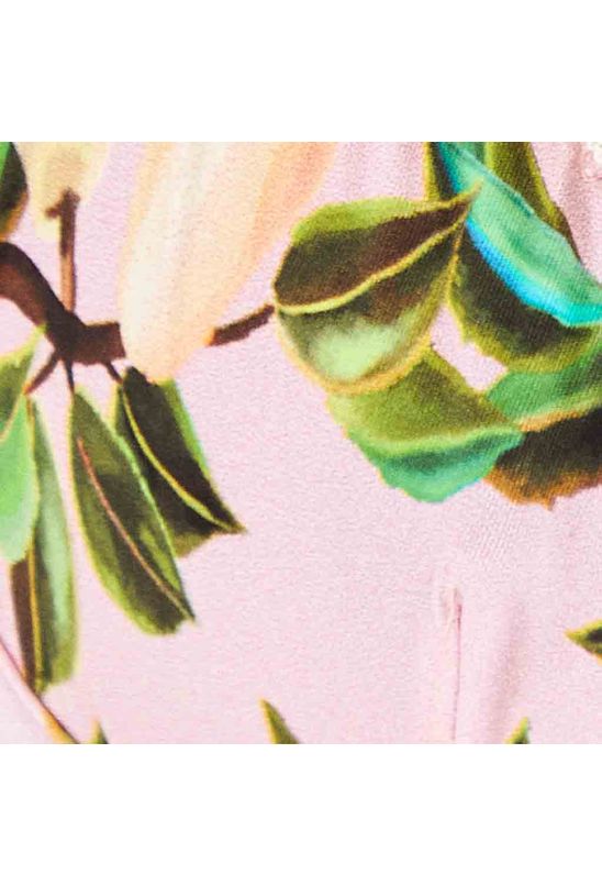 image-aa036a97fb574b17b257300aca3ddda3 image-aa036a97fb574b17b257300aca3ddda3