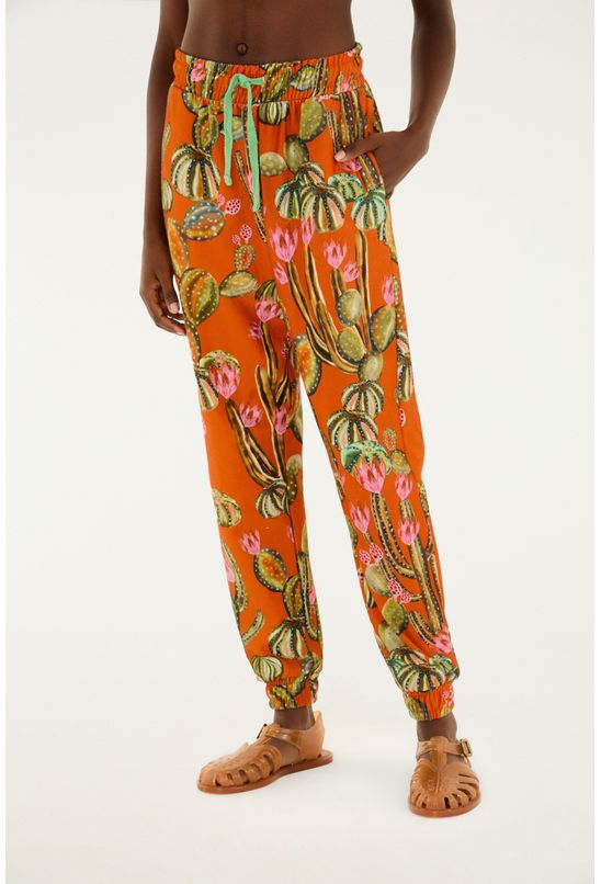 image-14311707299c4cc79cf3feba417eb9b3