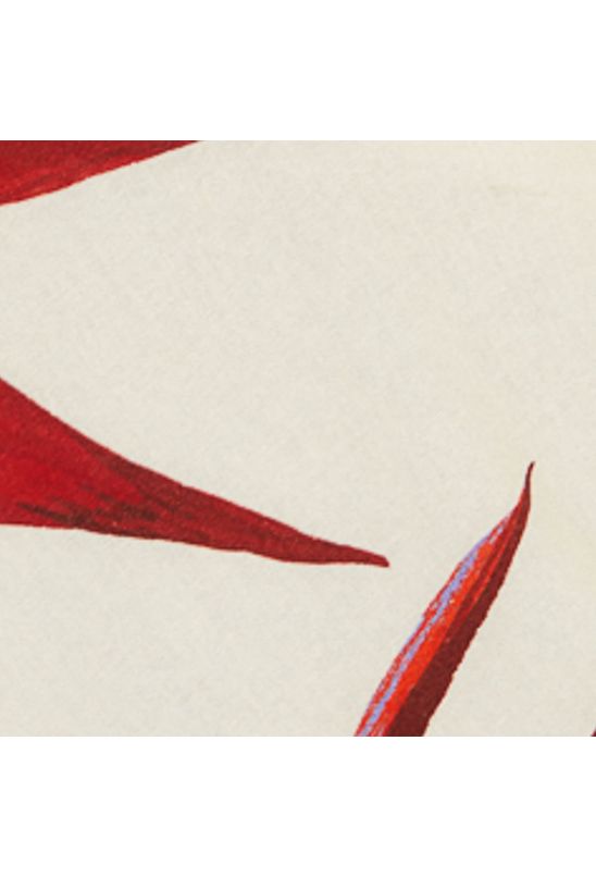 image-b2a292ae106045548e7e32524a9214d7