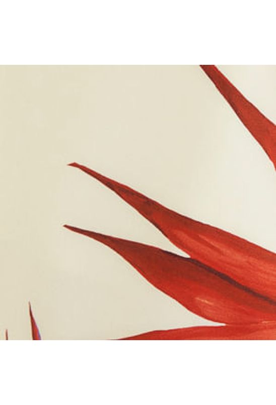 image-d09e73de46304bb7801b53bf7992ce51