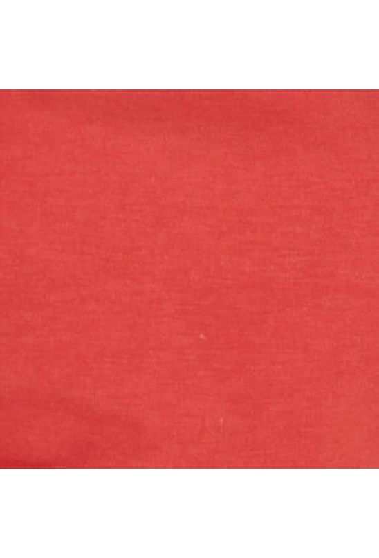 image-a65b8fc1628541ceb976d5b37417d341