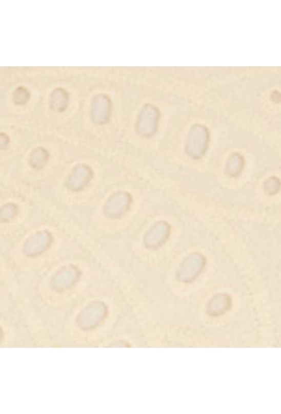 image-2b7789121fec4ea198a8eb968a64f7df