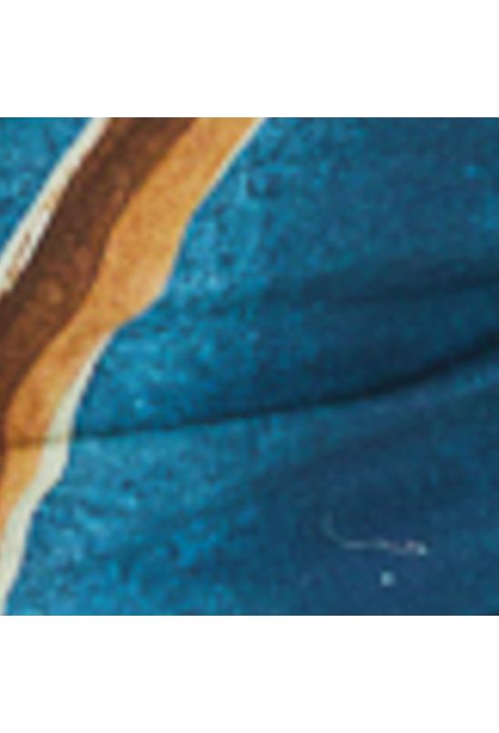 image-1a00c4fcc9854c83b06f6b9a8d8ef655