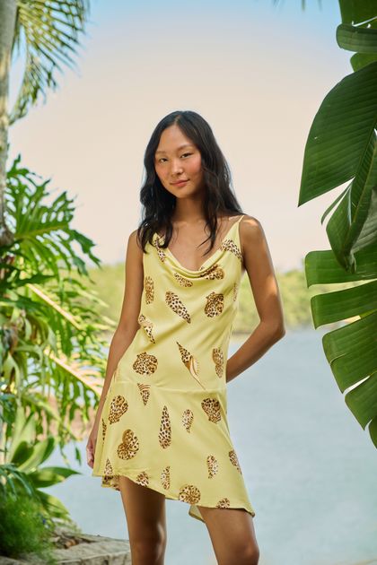 image-210c92abae404fe49c173073494bf3aa