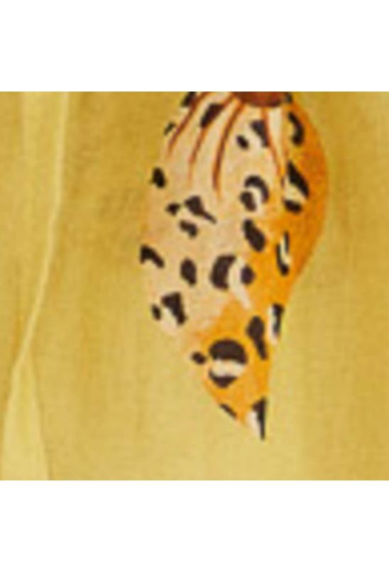 image-5bede43c58094233990aee52c2701e2b