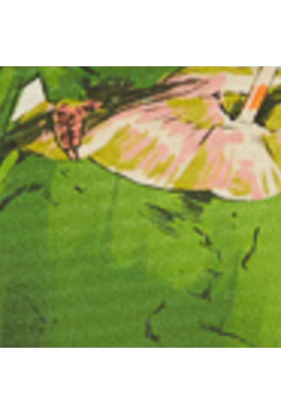 image-8fbb70e1084d4560908c212ae8289732