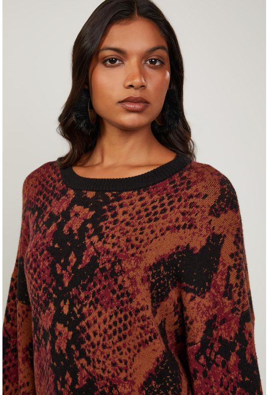 image-555bf7914937482590d906dbb9a7558e