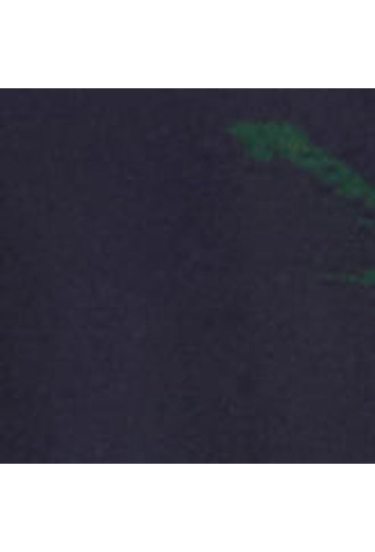 image-c47a5a015f2e49fc89b4c56745592145