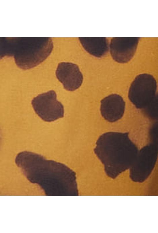 image-e3910540f32642b69af94e47c51f3155