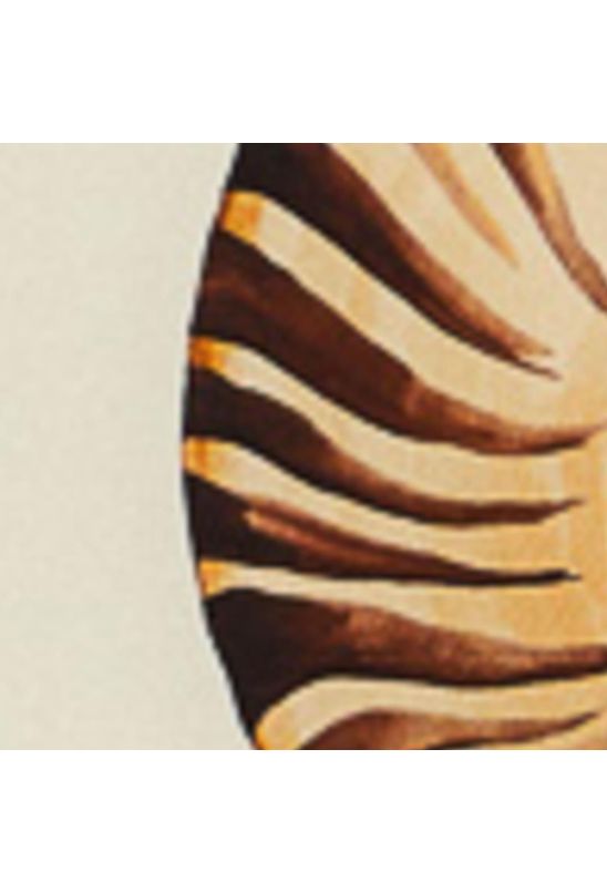 image-92f205c4a6564f769e1bb380ecc72f04