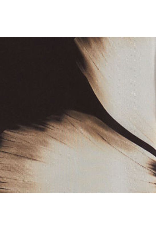 image-c77424bf946e4975b17a6a92ed04a569