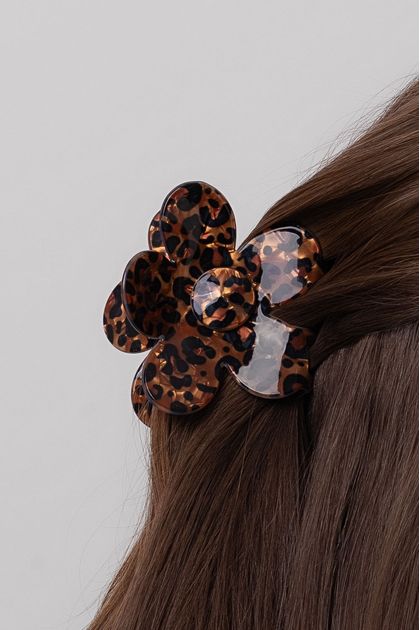 bdt64-126_1 bdt64-126_1