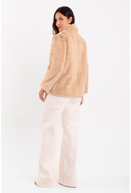 DRP250810000176DAYIAPRICOT--5- DRP250810000176DAYIAPRICOT--5-