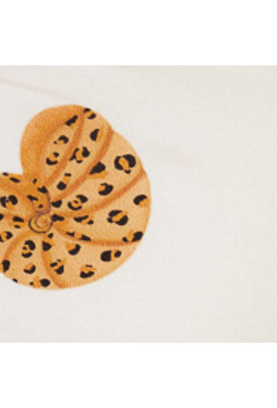 image-4affda22f683494793ce4fa38af3d93d