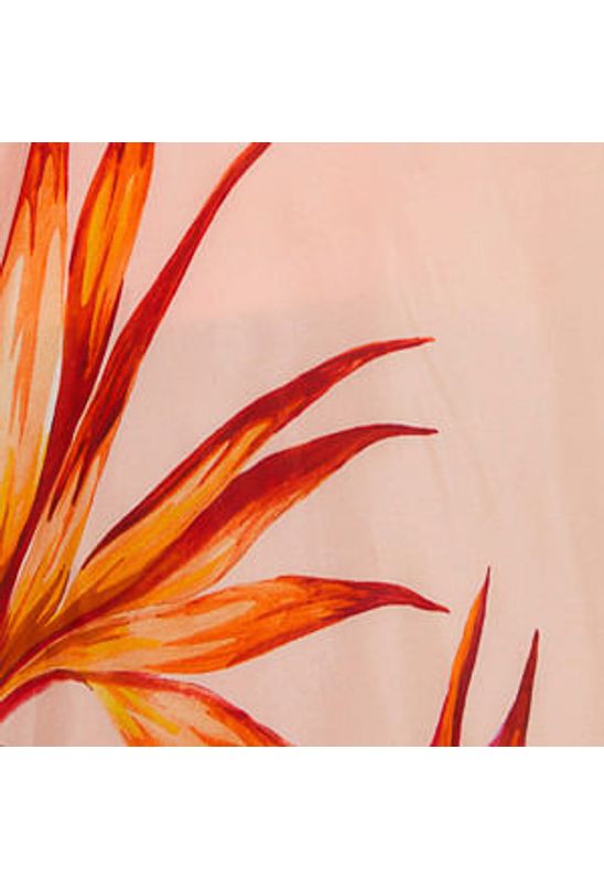 image-21e284932d64444da173c997611c9709