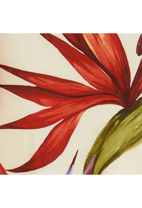 image-b0fb558570c54b2399ce2f5403da28b8