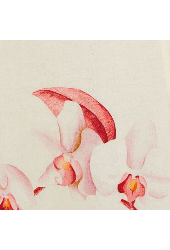 image-ca3565eac1c54945abd7b7178184737c