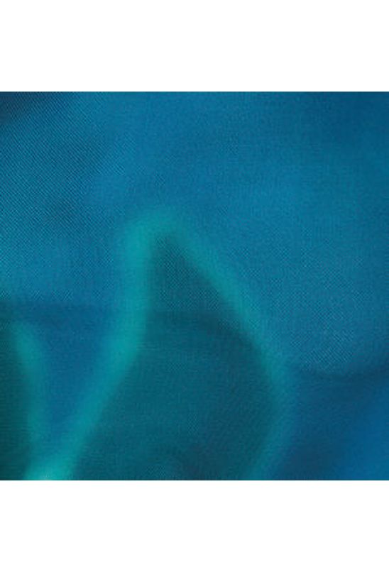 image-c90f621177a04fab8553a9f0d456de85