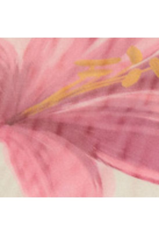 image-0562bf572a75467eb5c7c42c093818f9