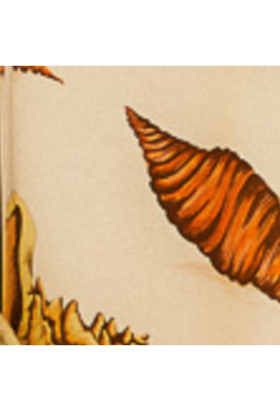 image-9e15410426c648b6968727af24d0c34f