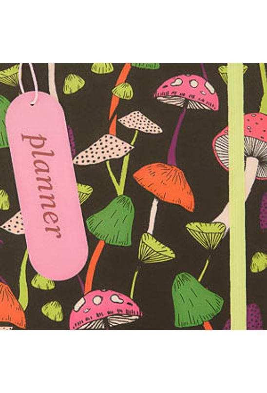 image-1ce5dd9c79ff47c988ea033551183988