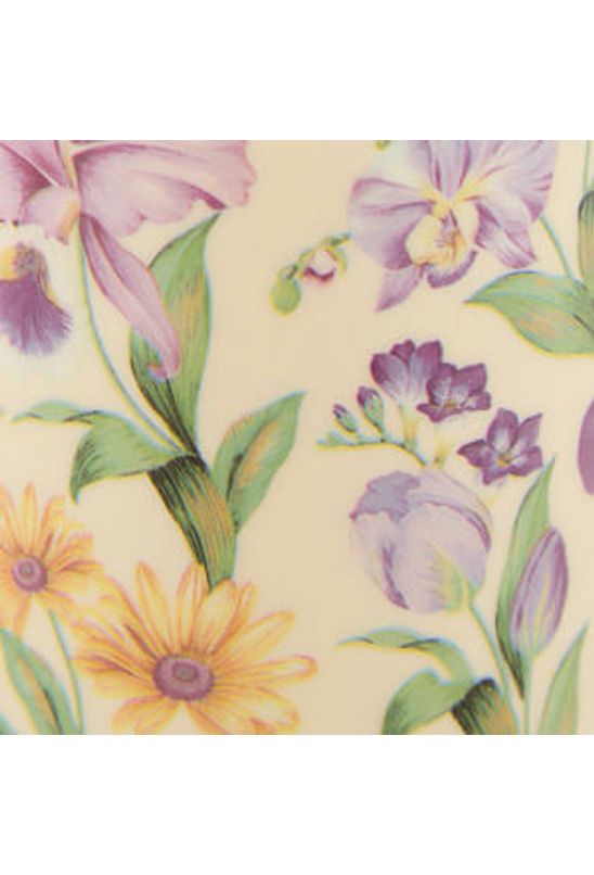 image-e6cd49521e624ea684055d7a95e5e77d