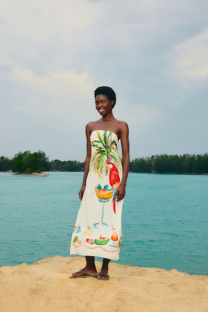 image-3b25a285a69e4e0bb778ca2607604826 image-3b25a285a69e4e0bb778ca2607604826