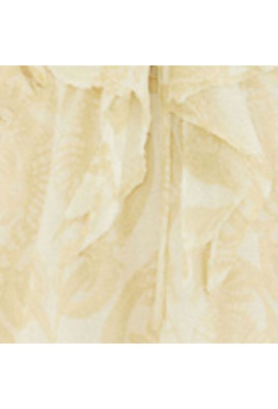 image-2098cfa07499479da50a15cf3f74e785