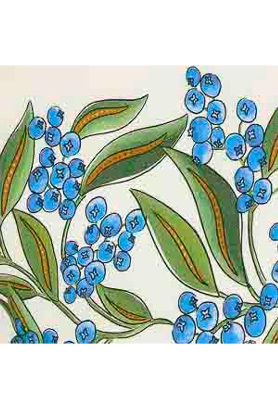 image-d225dac7f72f4c06bcab65dd73196e20