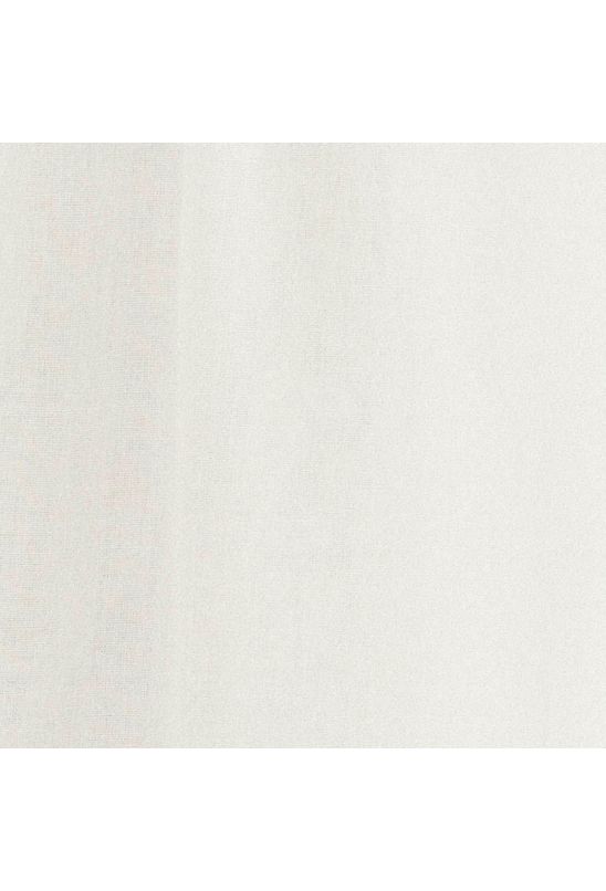 image-03902c65ca72488aa7f7de185b7055e9