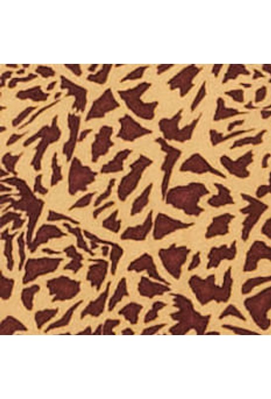 image-0031ec03c6104435bc3b87d714a47618