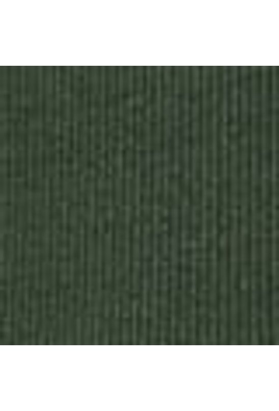 image-13798f329ad2438cb1ad13c52a7119e6