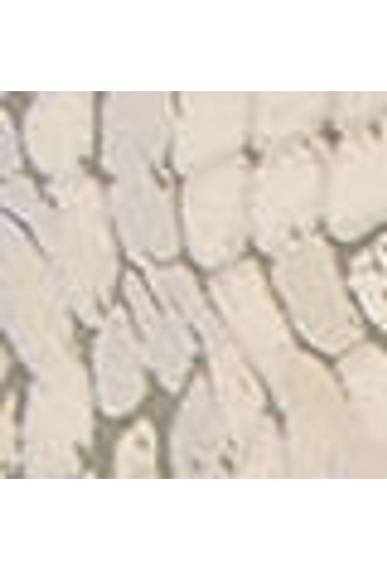 image-c2149eab99fe4b608cfca4fa6bb3cea8