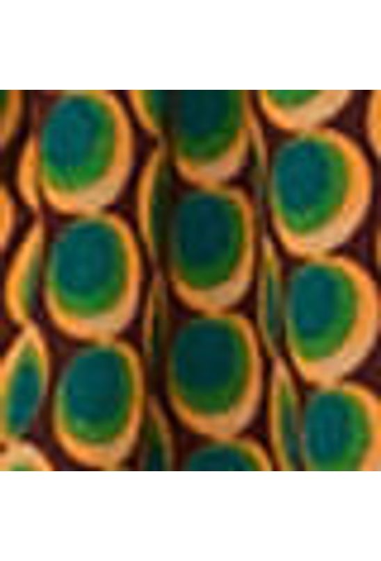 image-63f583611bfc4eb19d7ec8a2615429a7