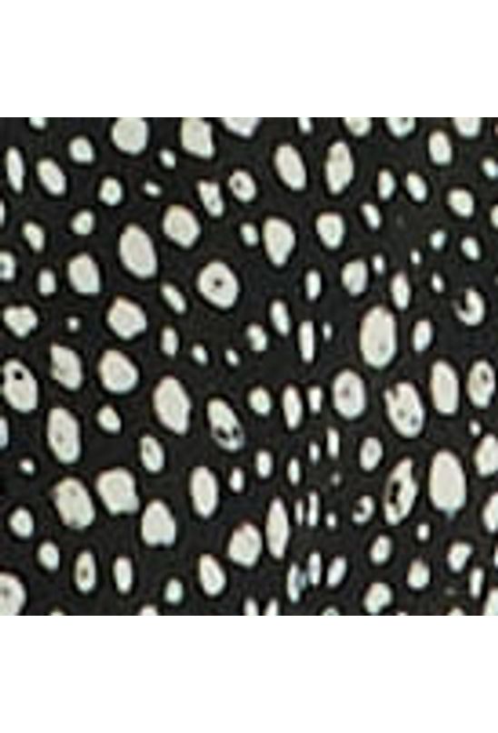 image-2c93157fe3ac4b07a5ddcf15968e65ae